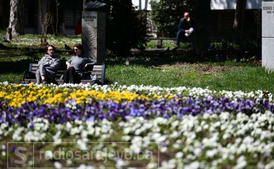 Cvijeće i behar u aprilu: Sarajevo kroz objektiv fotografa